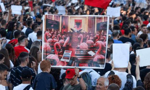 Šta zapravo otkriva „Flamingo revolucija“