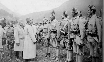Bošnjaci svih konfesija su u samo dvije generacije prešli put od osmanskih podanika do carskih i kraljevskih oficira Habsburške monarhije