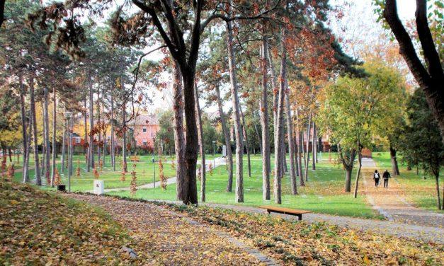 Zaboravljeni tragovi u Mađarskoj:  Školovanje, mobilizacija i stradanje Bosanaca i Hercegovaca u Debrecinu