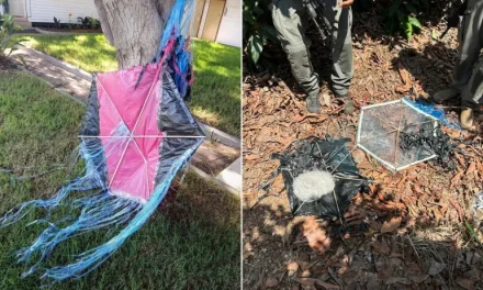 Opasni zmajevi: Dječija igračka naljutila Izrael