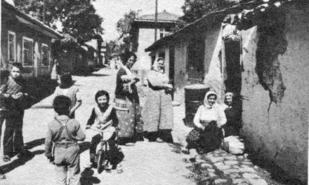 Od Sandžaka do obala Crnog mora: Priča o bošnjačkom Yeniköyu u Şileu
