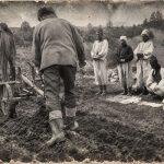 Zemlja, ratni dobrovoljci i otimačina: Kolonizacija u Bosni i Hercegovini (1918–1934)