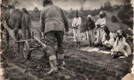 Zemlja, ratni dobrovoljci i otimačina: Kolonizacija u Bosni i Hercegovini (1918–1934)