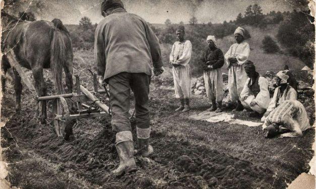 Zemlja, ratni dobrovoljci i otimačina: Kolonizacija u Bosni i Hercegovini (1918–1934)