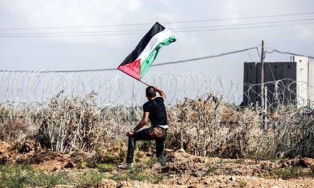 Svijet konačno gleda Palestinu, ali ko će ispričati njenu priču?