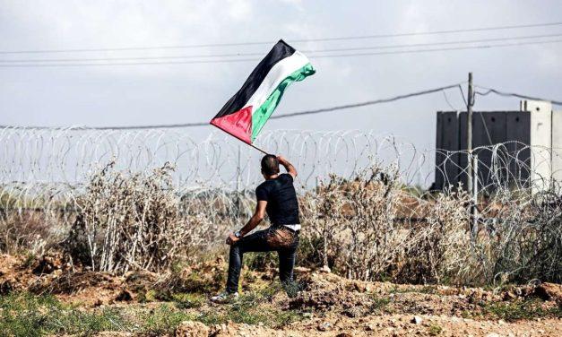 Svijet konačno gleda Palestinu, ali ko će ispričati njenu priču?