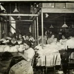 Pomama za perjem dovela do najvećeg masovnog istrebljenja u historiji