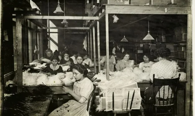 Pomama za perjem dovela do najvećeg masovnog istrebljenja u historiji