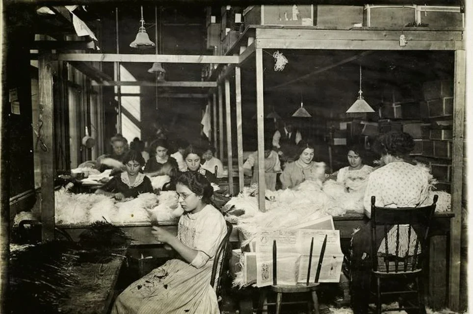 Pomama za perjem dovela do najvećeg masovnog istrebljenja u historiji
