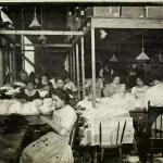 Pomama za perjem dovela do najvećeg masovnog istrebljenja u historiji