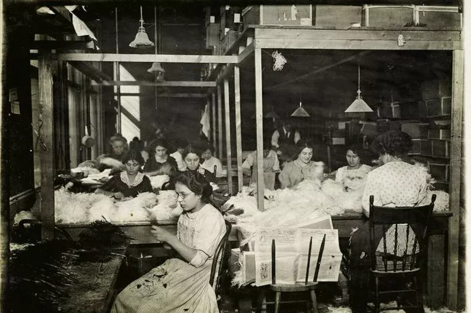 Pomama za perjem dovela do najvećeg masovnog istrebljenja u historiji