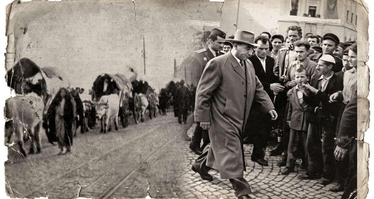 Sudbina na rubu carstava i ideologija: Bošnjačke migracije od Berlinskog kongresa do Rankovićevog pada