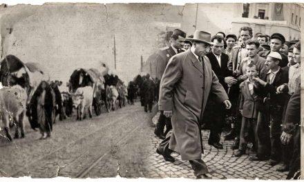 Sudbina na rubu carstava i ideologija: Bošnjačke migracije od Berlinskog kongresa do Rankovićevog pada