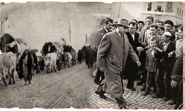 Sudbina na rubu carstava i ideologija: Bošnjačke migracije od Berlinskog kongresa do Rankovićevog pada
