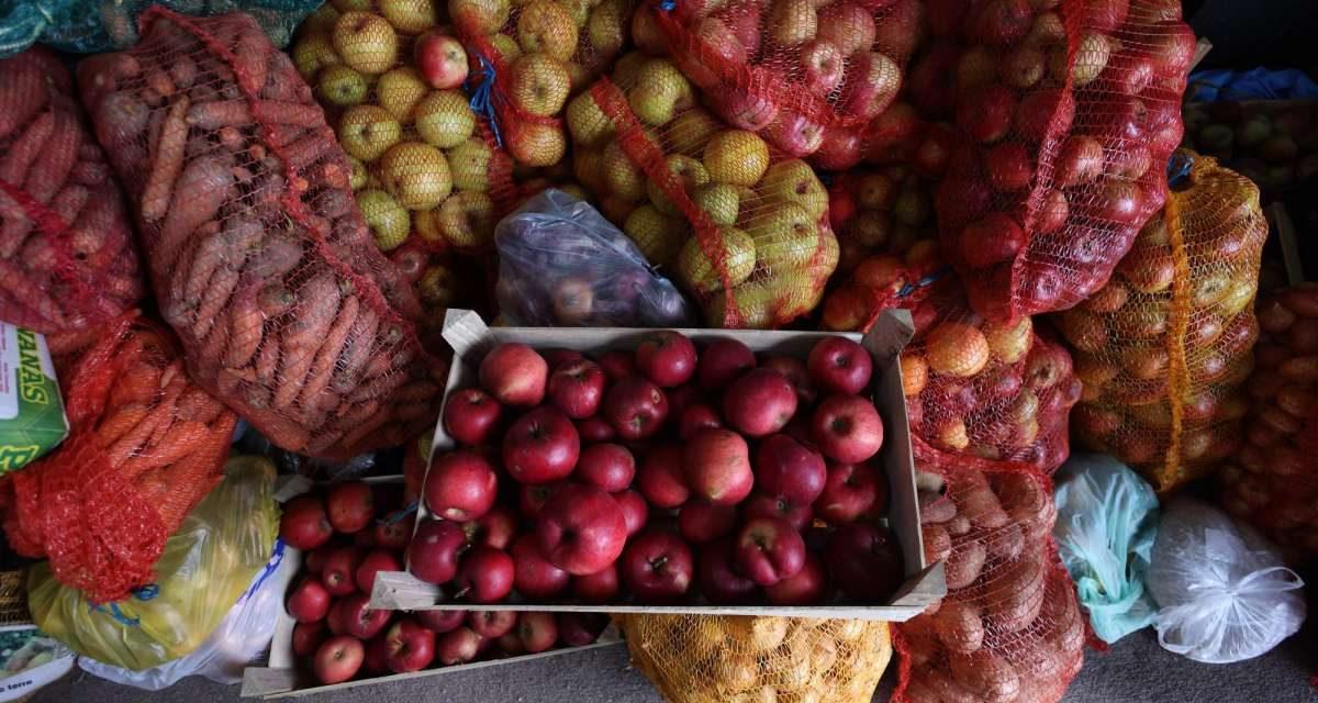 Zekat na poljoprivredne proizvode: Akcija prikupljanja od 17. oktobra do prvog novembra